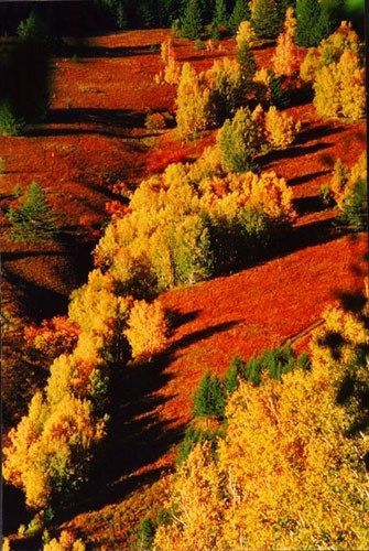 人在画中行 春季六大经典徒步线路推荐(图)