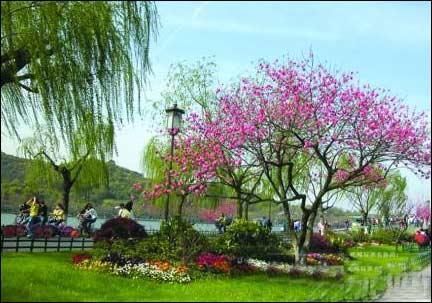 三月出游指南：春季北京赏花踏青旅游地(图)